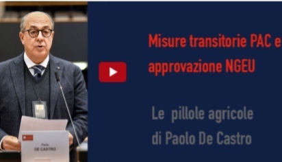Misure Transitorie Pac e approvazione NGEU - Le pillole di Paolo De Castro 