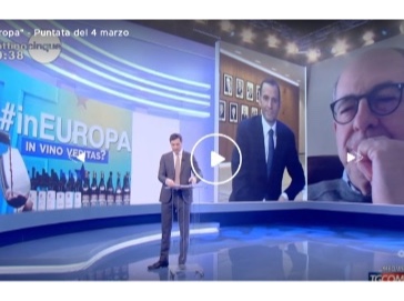 Canale 5 a Mattino Cinque - InEuropa 
