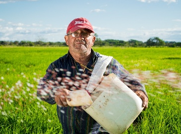 De Castro: per misure crisi 'no' a elemosina di 7 euro per agricoltore